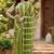 mehendi green  color digital printed chanderi ready to wear saree with blouse