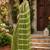 mehendi green  color digital printed chanderi ready to wear saree with blouse