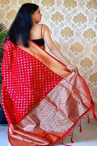 Woven design zari kanjeevaram saree
