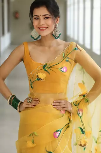 Floral embroidered organza kanjeevaram saree