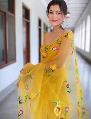 Floral embroidered organza kanjeevaram saree 3
