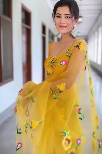 Floral embroidered organza kanjeevaram saree