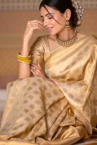 Geometric woven design zari kanjeevaram saree