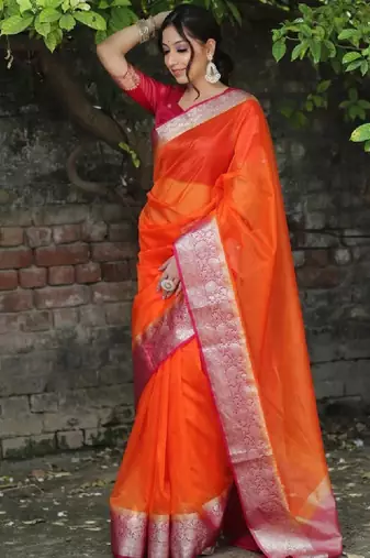 Solid zari organza kanjeevaram saree