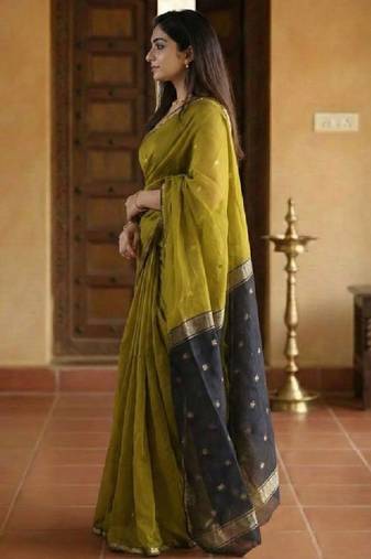 Ethnic motifs zari kanjeevaram saree