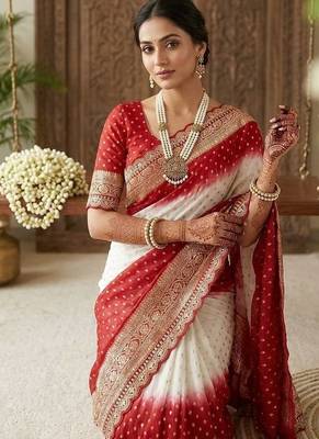 White Embroidery Sequin Coding Lace Work Georgette Saree 4