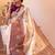 Ethnic motifs zari art silk kanjeevaram saree