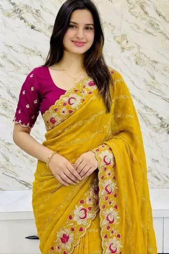 Embroidered pure georgette kanjeevaram saree
