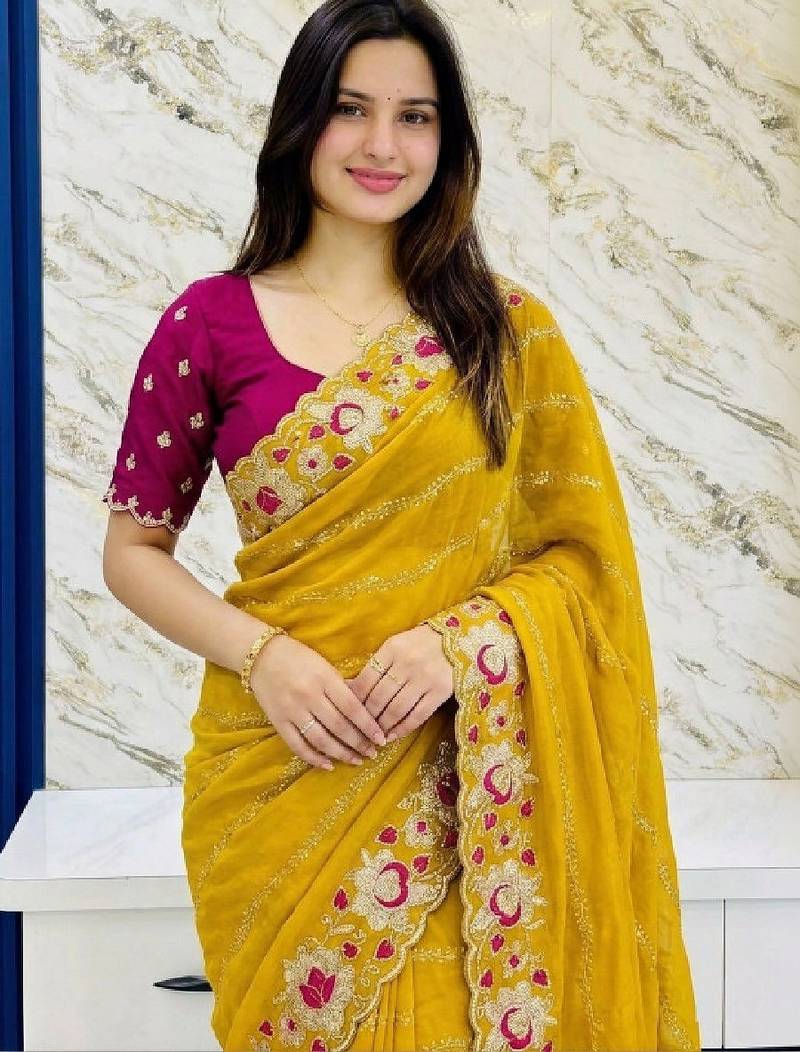 Embroidered pure georgette kanjeevaram saree