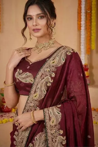 Paisley embroidered pure georgette kanjeevaram saree