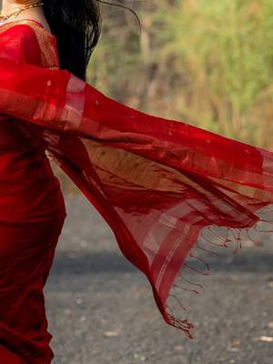 Zari silk blend kanjeevaram saree 4