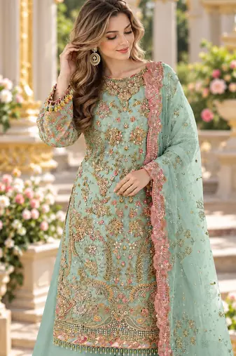 Sky blue chiffon semi stitched suit with embroidery & sequence work