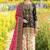 Black chinon readymade printed suit with diamond work