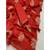 cotton blend saree with elegant printed design for festive & casual wear