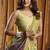 green woven katha designer khadi cotton blend fabric graceful festive special saree