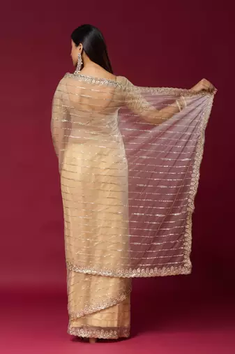 Chiku color smart elegant girlie partywear net sequins embroidered saree