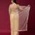 Chiku color smart elegant girlie partywear net sequins embroidered saree