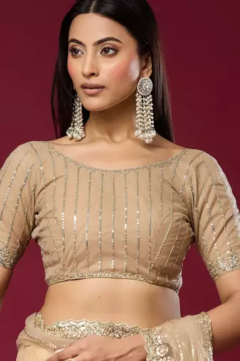 Chiku color smart elegant girlie partywear net sequins embroidered saree