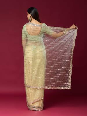 Pista color smart elegant girlie partywear net sequins embroidered saree 2