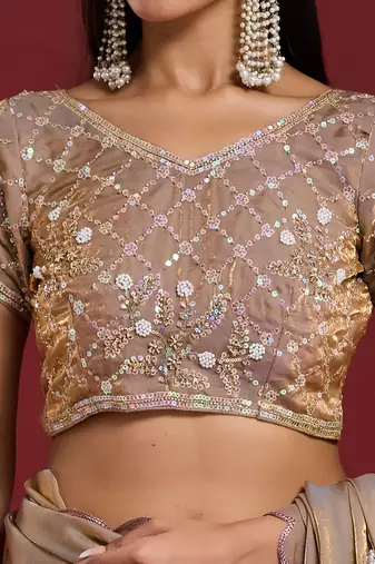Beige tissue satin embellished saree with unstitched blouse piece.