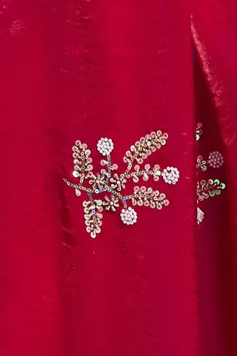 Rani tissue satin embellished saree with unstitched blouse piece.