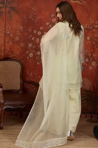 Pista organza embroidered kurta plazzo set with dupatta.