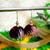 black fabric traditional jhumka earrings
