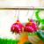 pink fabric traditional jhumka earrings
