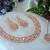 Pink color rhodium plating festive wear designer necklace set