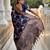 navy_blue woven design zari banarasi saree with matching blouse piece