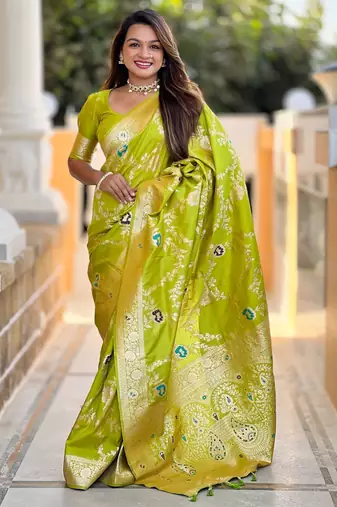 light_lime ethnic motifs woven design zari banarasi saree