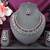Purple color rhodium plating festive wear designer necklace set