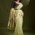 light_lime floral woven design zari paithani saree