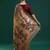 beige woven design zari muga saree
