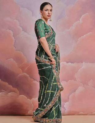 green tie and dye sequinned embroidered saree 2