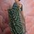 green tie and dye sequinned embroidered saree