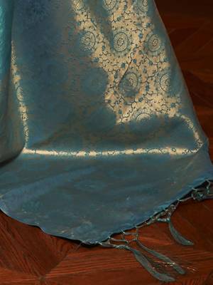 blue ethnic motif zari woven banarasi saree 4