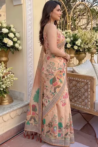 Pink floral zari organza kanjeevaram saree