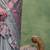 grey woven design zari silk blend banarasi saree