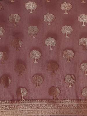 Coral ethnic motifs saree with woven design border 3