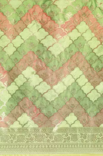 green ethnic motifs zari organza saree