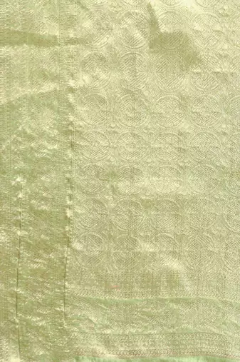 green ethnic motifs zari organza saree