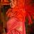 pink woven design banarasi saree