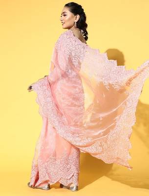 pink ethnic motifs saree with embroidered border 4