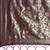 purple woven design zari silk blend paithani saree