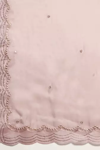 pink embellished sequinned organza saree
