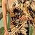 beige geometric printed satin saree