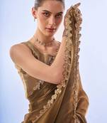 gold embellished sequinned organza saree