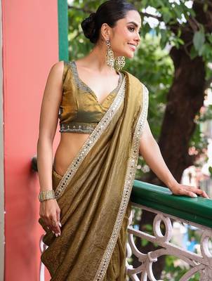 olive embellished mirror work tissue heavy work saree 2