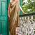 olive embellished mirror work tissue heavy work saree